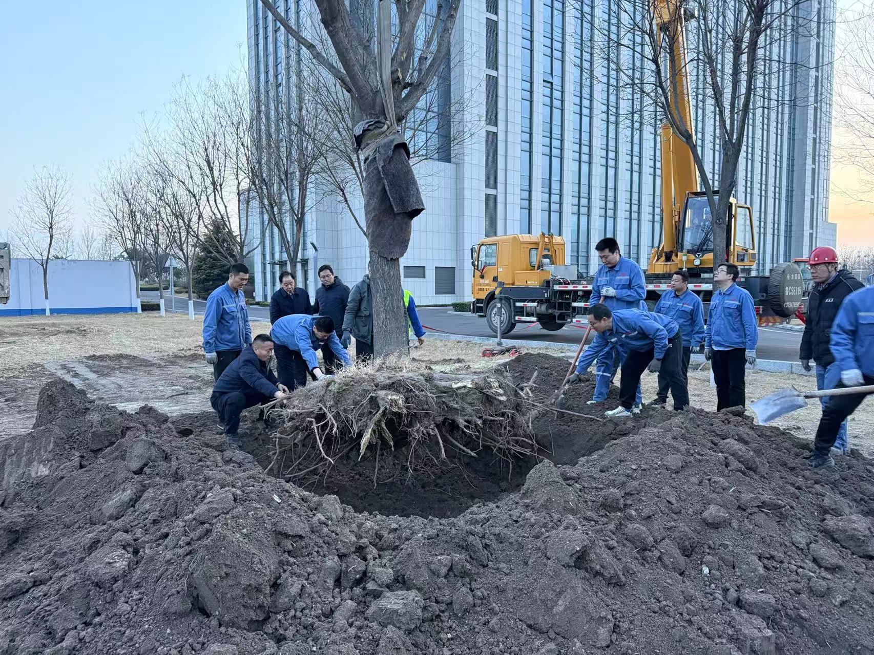 2025年3月1日沙巴电竞干部职工合力栽下新春第一树